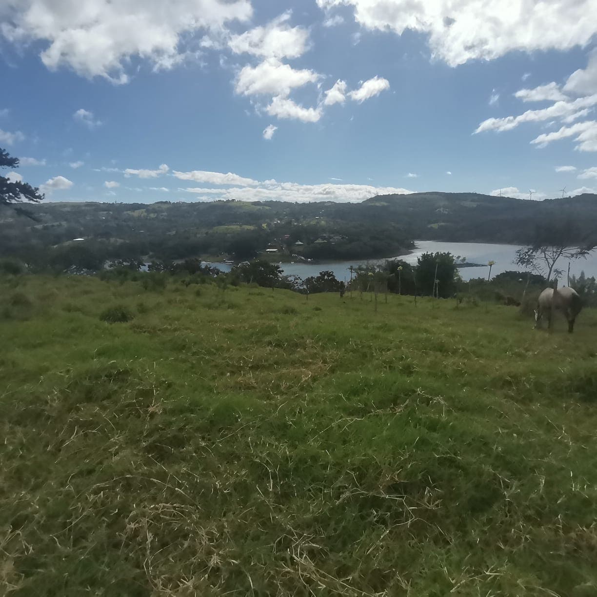 Spectacular, 5000m2, Lake View, LAKE ACCESS Lot in Tronadora!