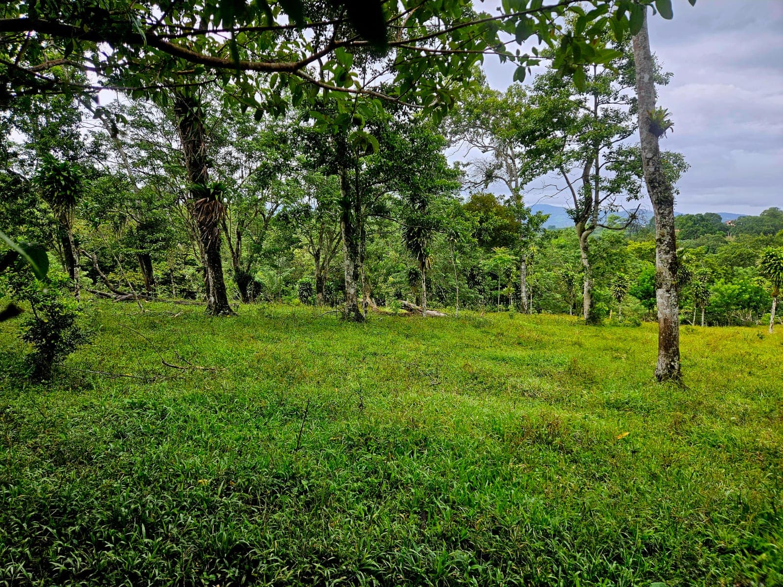 8,737 M2 (2.15 Acre) Lot with View of Lake Arenal in Tronadora