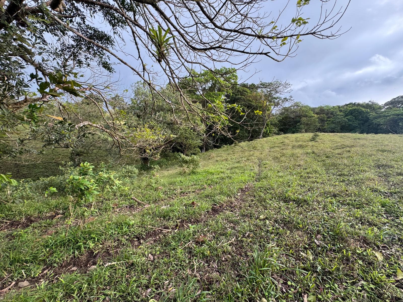 Expansive Self-Sufficient Farm Overlooking Lake Arenal in Nuevo Arenal