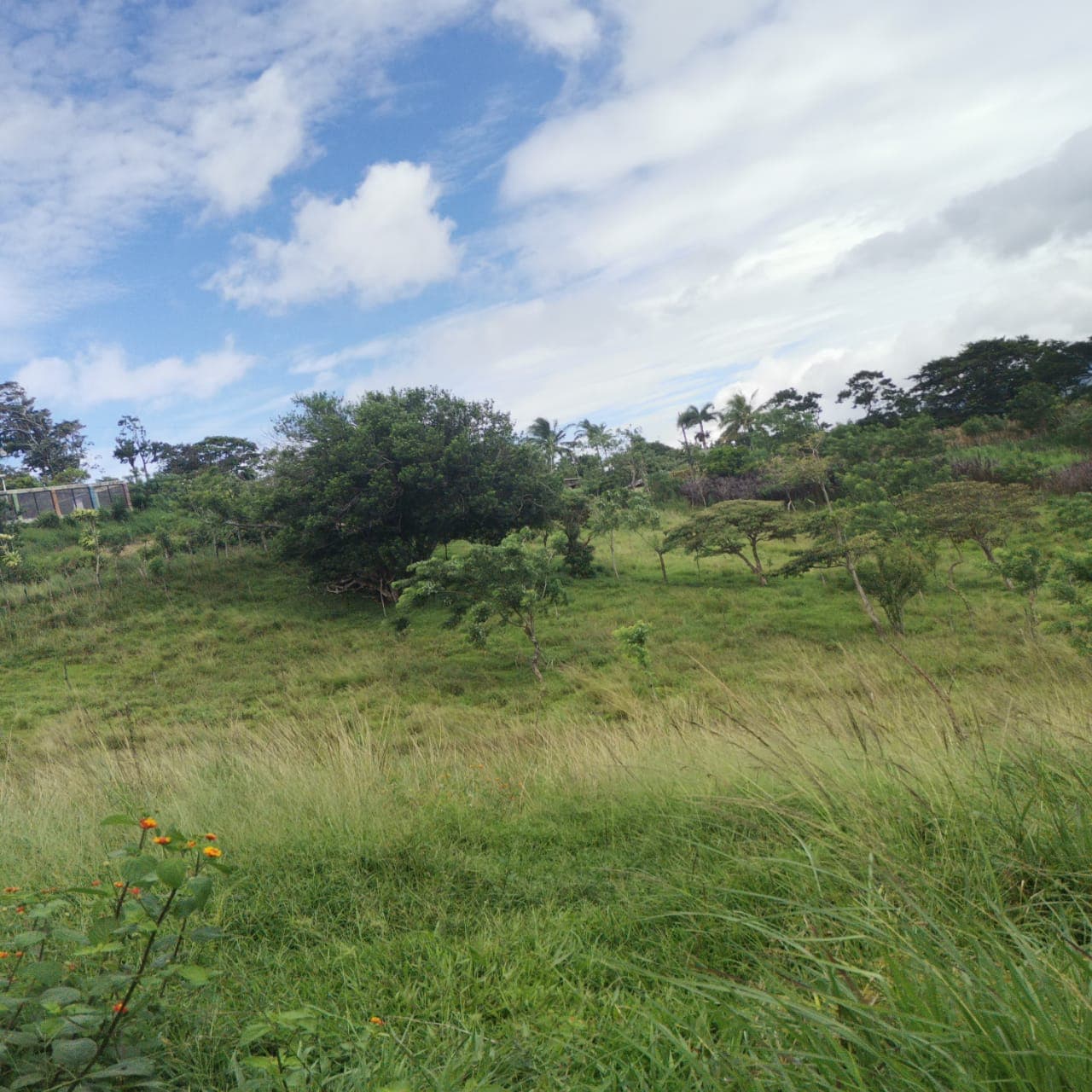 Large, Lake and Volcano View Parcel with Modest Tico Home and LAKE ACCESS