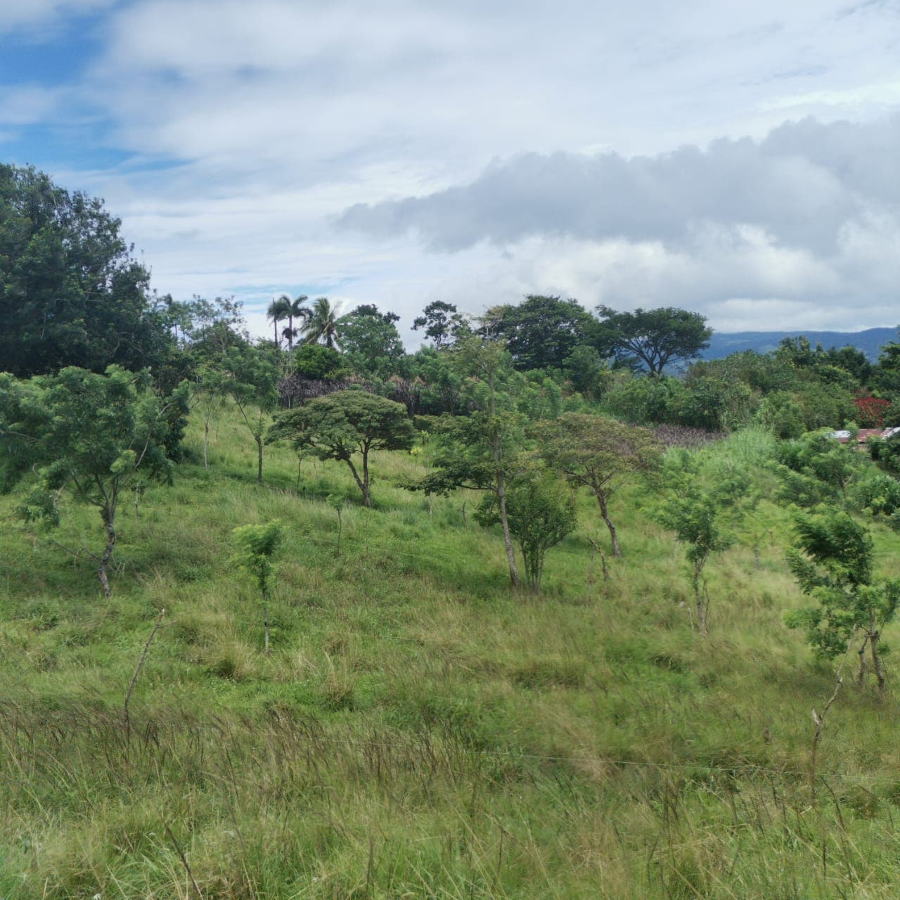 Large, Lake and Volcano View Parcel with Modest Tico Home and LAKE ACCESS