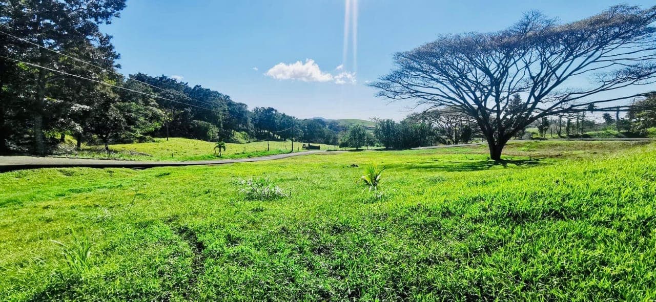 Amazing, 5,742 m2 (1.4 acre) Corner Lot in Gated Community in Tilaran